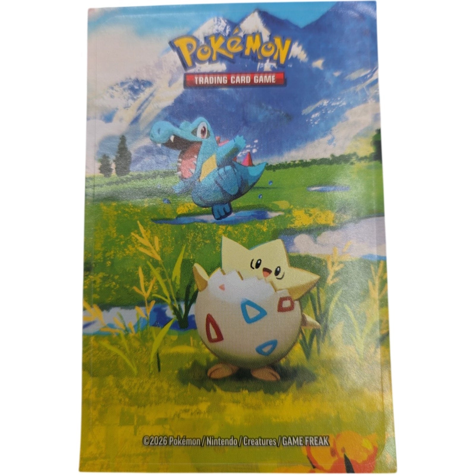 Pokemon TCG Mega Evolution Ascended Heroes Mini Tins Complete 5 Art Sticker Set