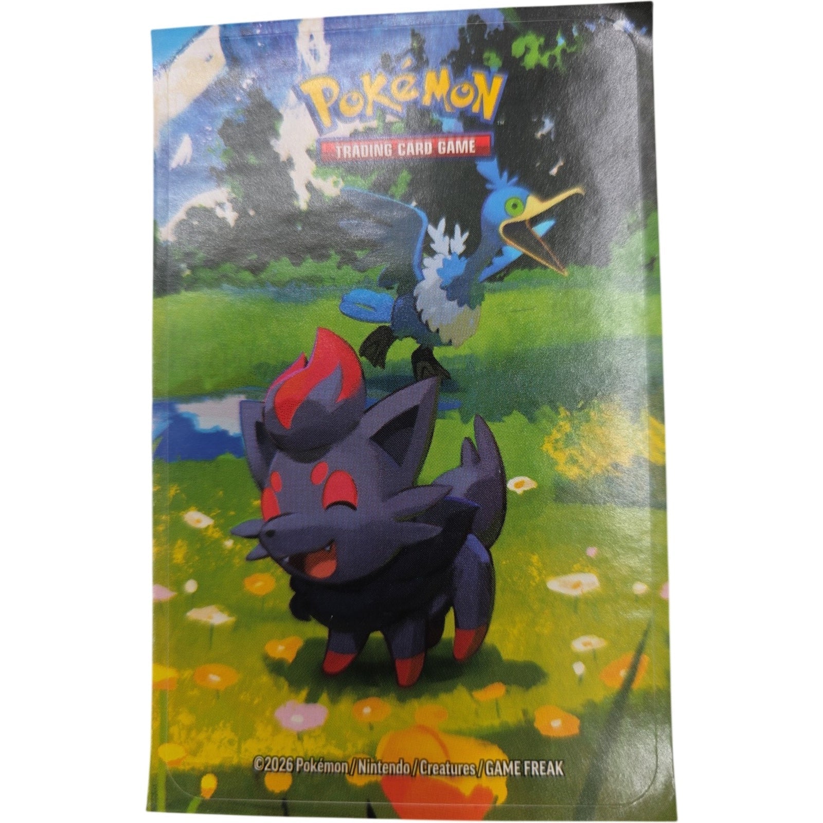 Pokemon TCG Mega Evolution Ascended Heroes Mini Tins Complete 5 Art Sticker Set