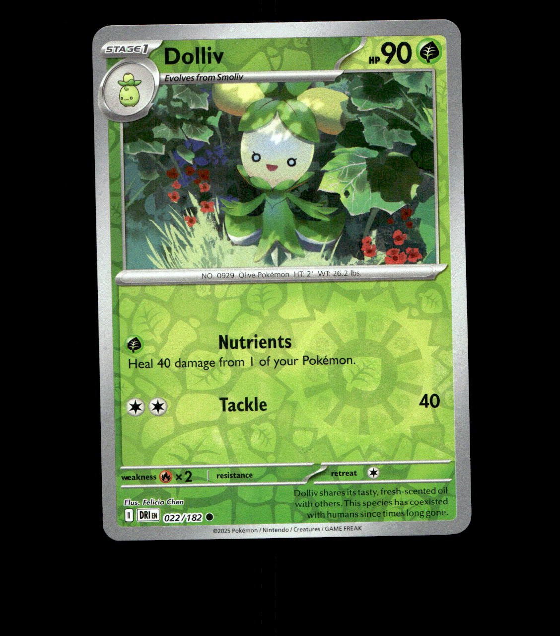 Dolliv – 022/182 – Destined Rivals – Reverse Holo – Near Mint