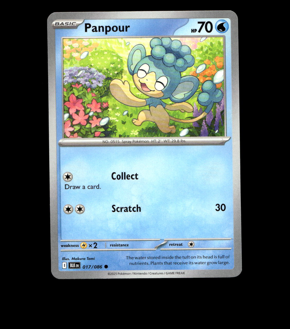 Panpour - 017/086 - Black Bolt - Near Mint Non Holo