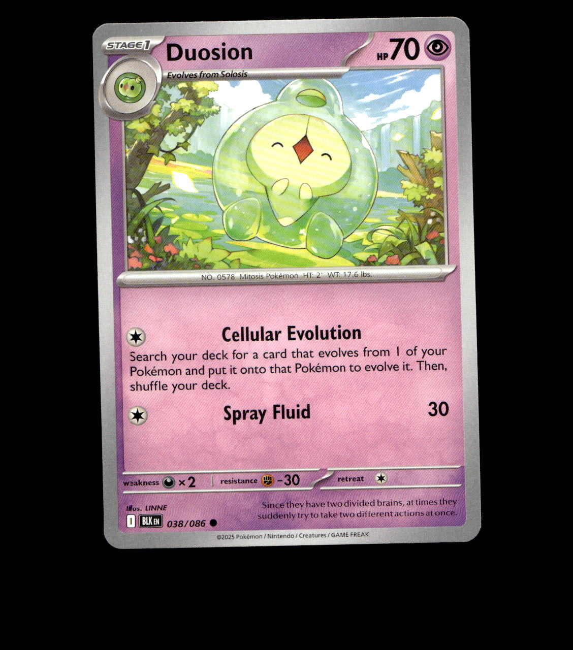 Duosion - 038/086 - Black Bolt - Near Mint Pokemon Card TCG