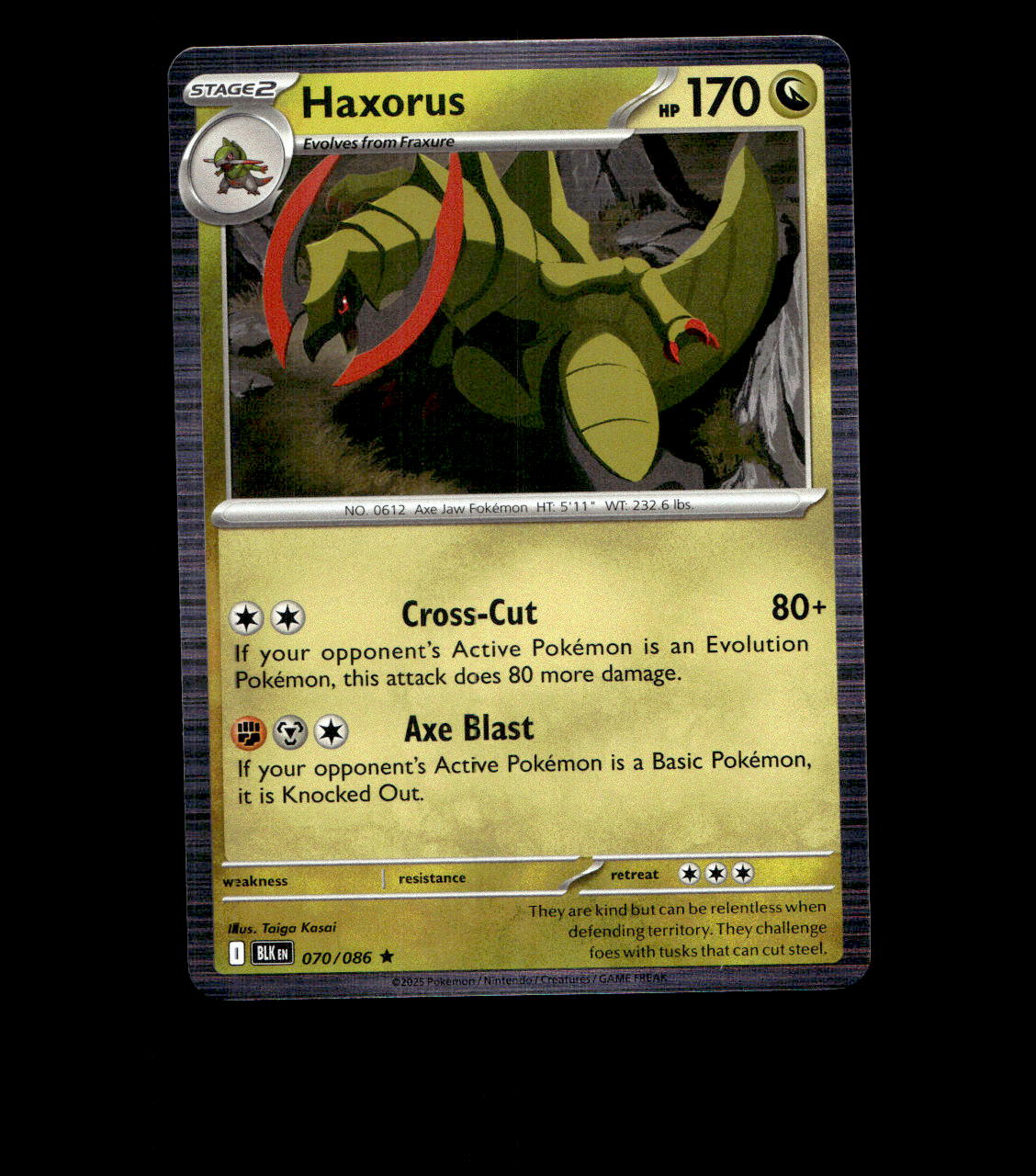 Haxorus - 070/086 - Black Bolt - Holo Near Mint Pokemon Card TCG