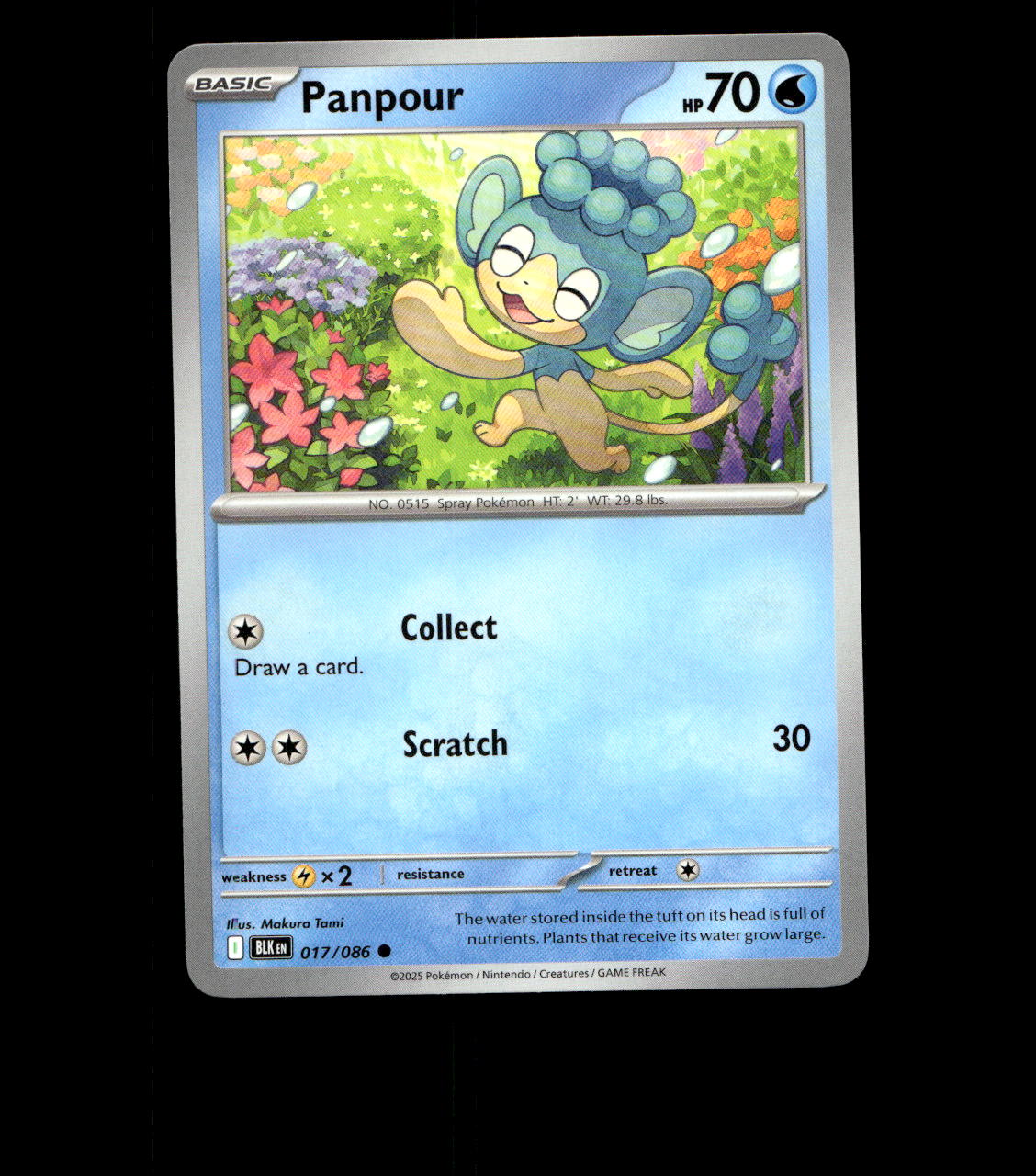 Panpour - 017/086 - Black Bolt - Near Mint Non Holo