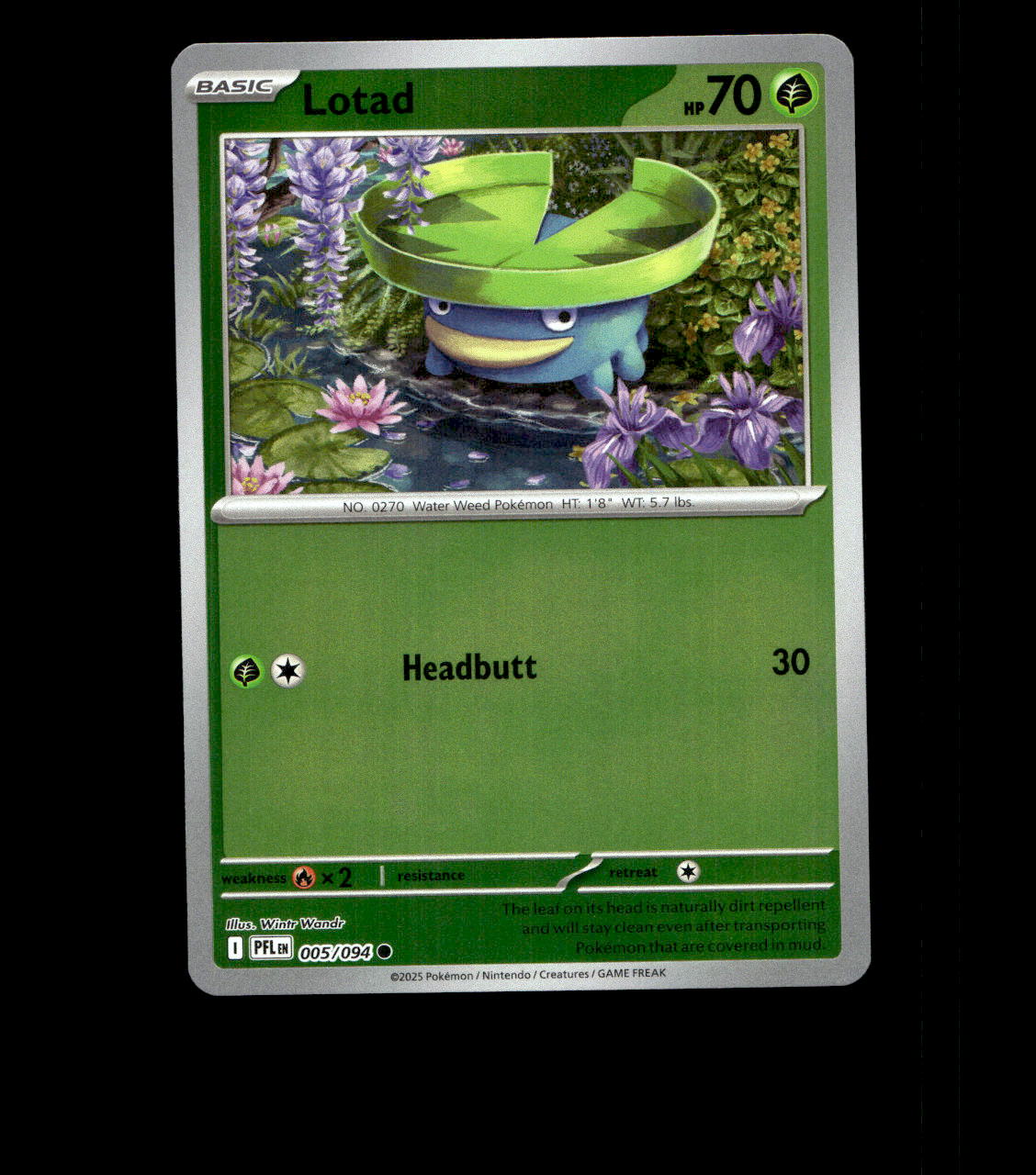 Lotad – 005/094 – Phantasmal Flames – Reverse Holo Near Mint