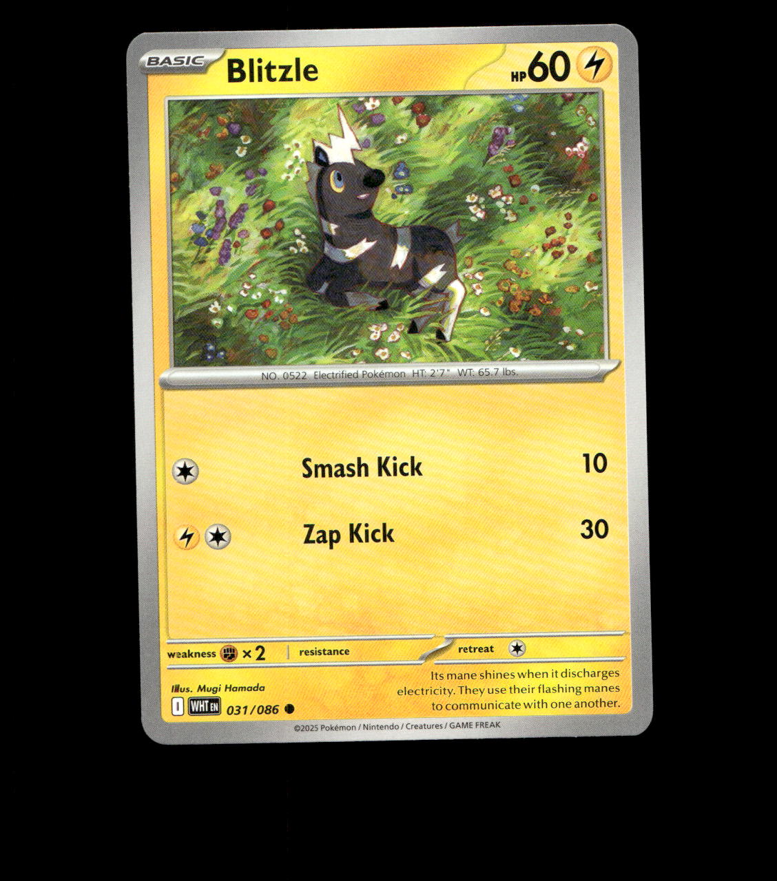 Blitzle - 031/086 - White Flare - Near Mint Non Holo