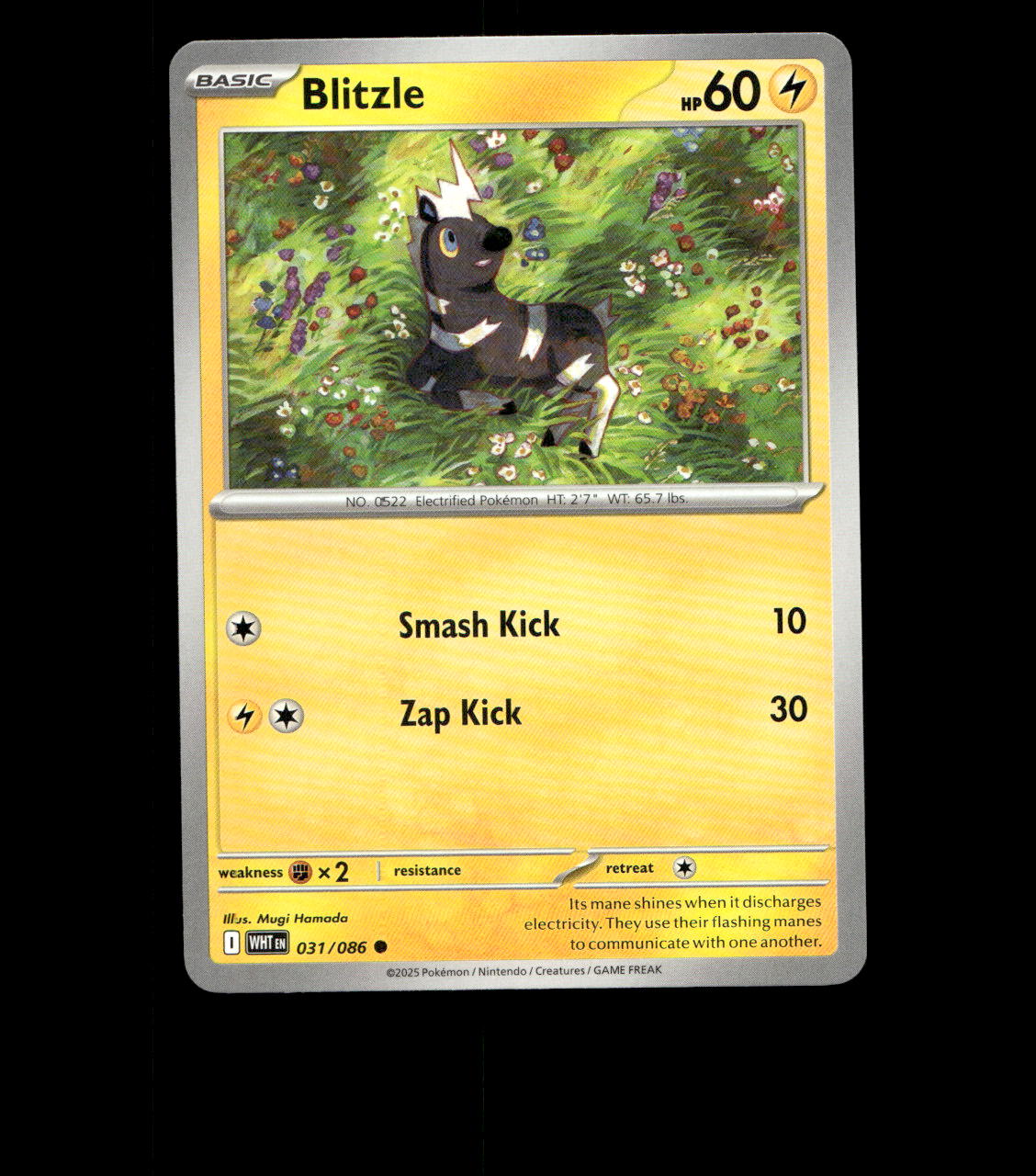 Blitzle - 031/086 - White Flare - Near Mint Pokemon Card TCG
