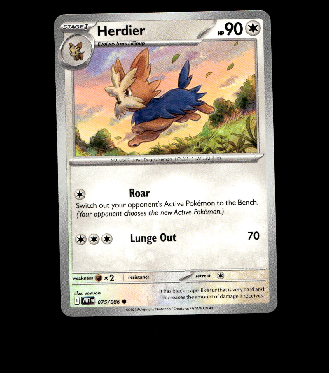 Herdier – 075/086 – White Flare – Non Holo – Near Mint - Pokemon Card - TCG