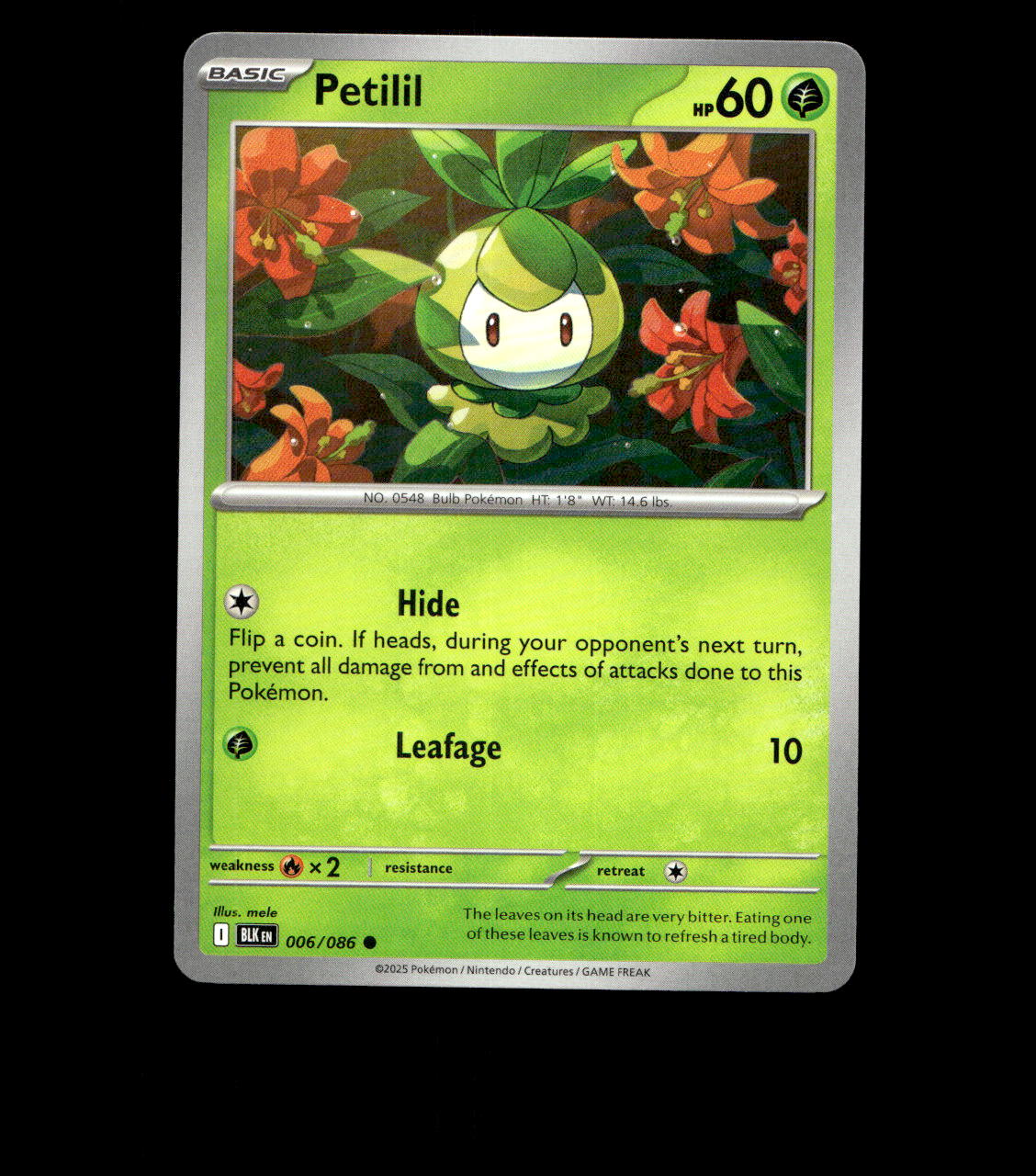 Petilil – 006/086 – Black Bolt – Non Holo – Near Mint - Pokemon Card - TCG