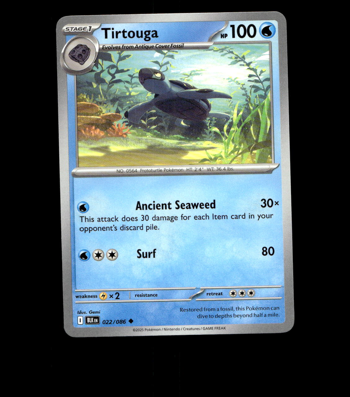 Tirtouga – 022/086 – Black Bolt – Non Holo – Near Mint - Pokemon Card - TCG