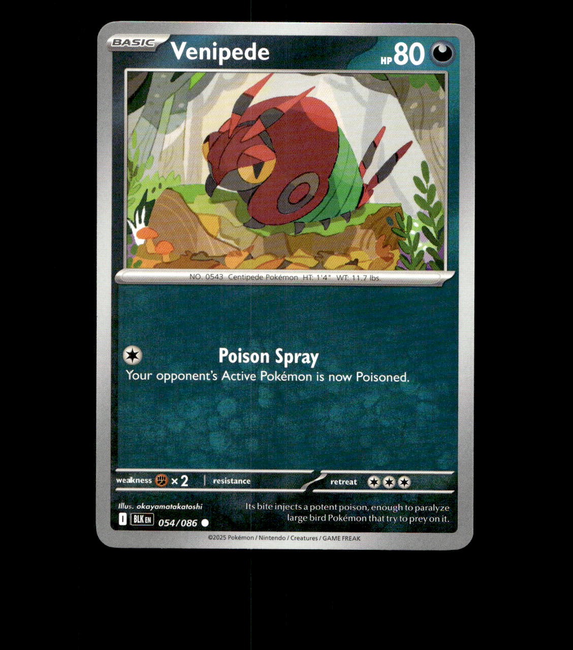 Venipede - 054/086 - Black Bolt - Near Mint Non Holo