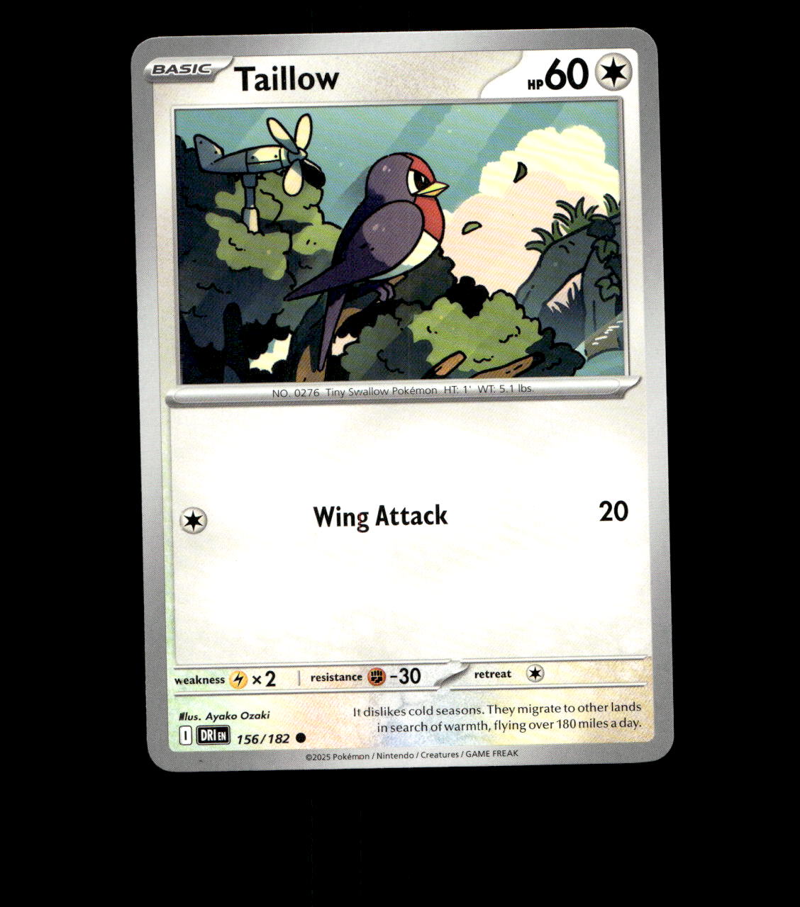 Taillow – 156/182 – Destined Rivals – Near Mint