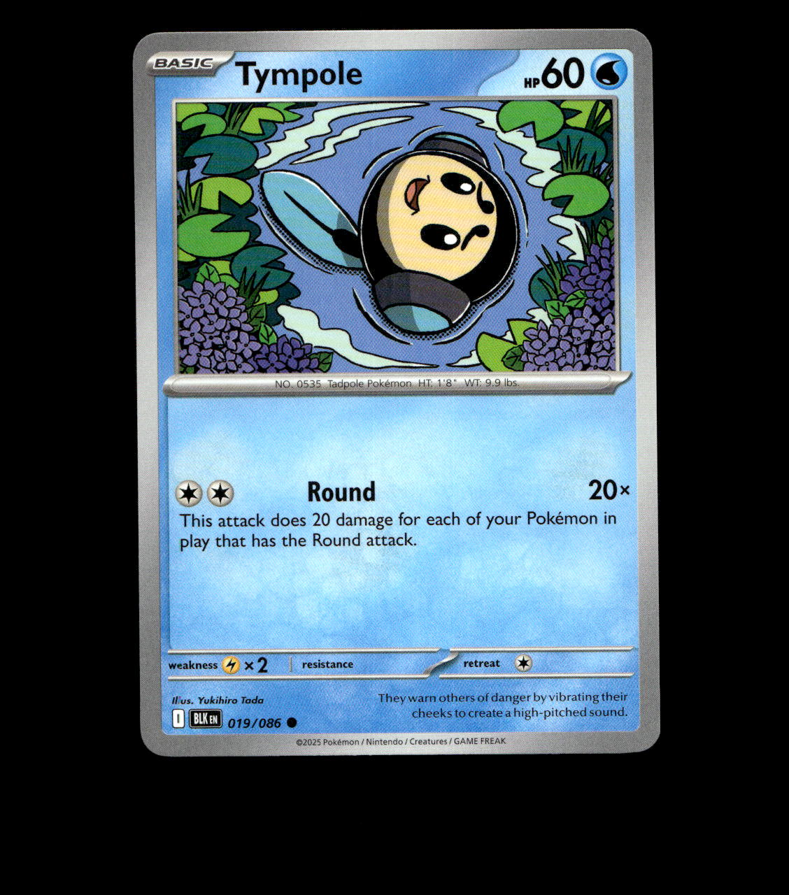 Tympole – 019/086 – Black Bolt – Non Holo – Near Mint - Pokemon Card - TCG