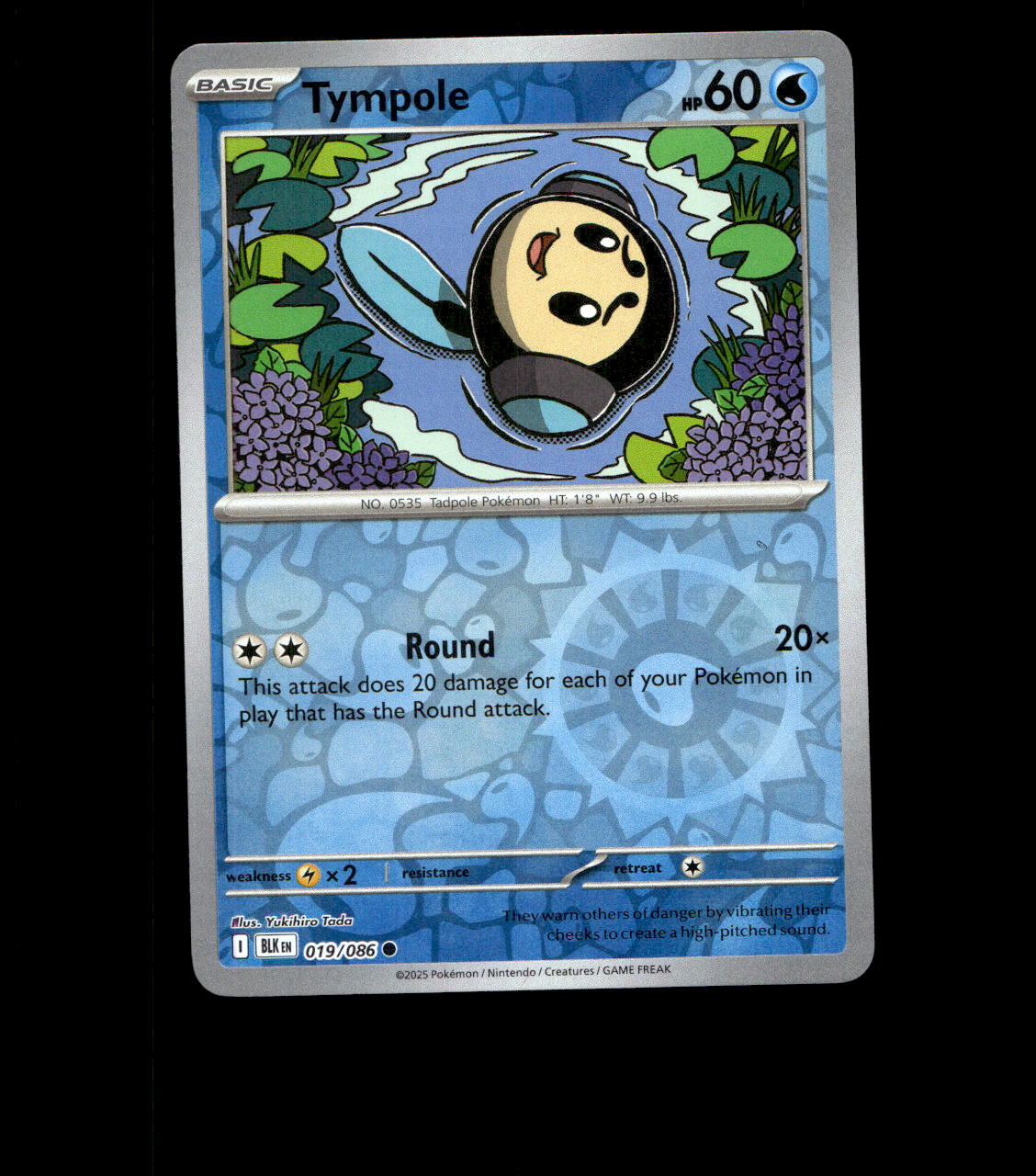 Tympole - 019/086 - Black Bolt - Reverse Holo Near Mint