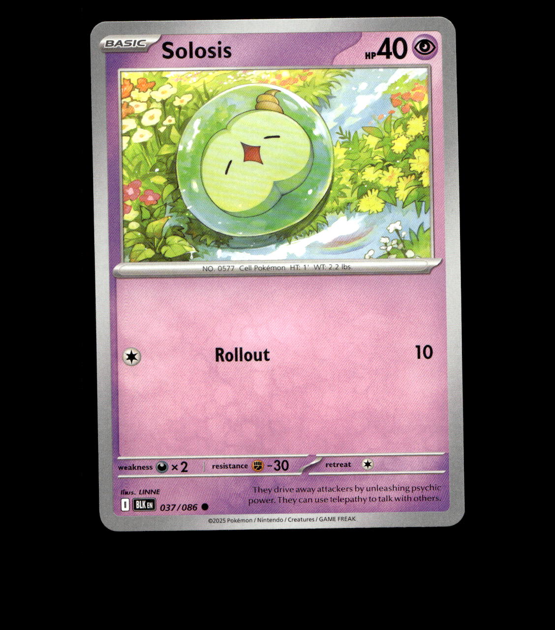 Solosis – 037/086 – Black Bolt – Non Holo – Near Mint - Pokemon Card - TCG