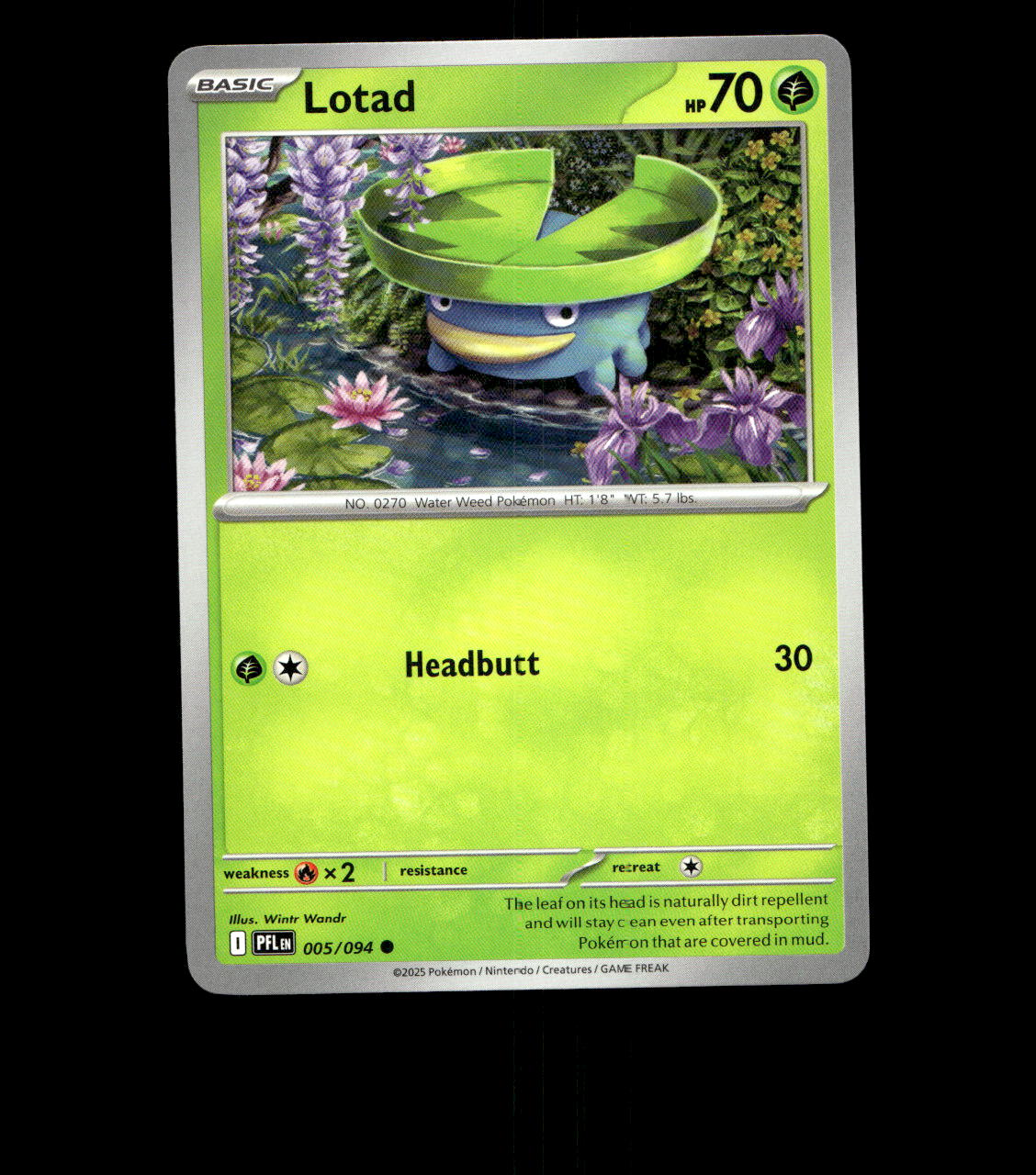 Lotad – 005/094 – Phantasmal Flames – Near Mint