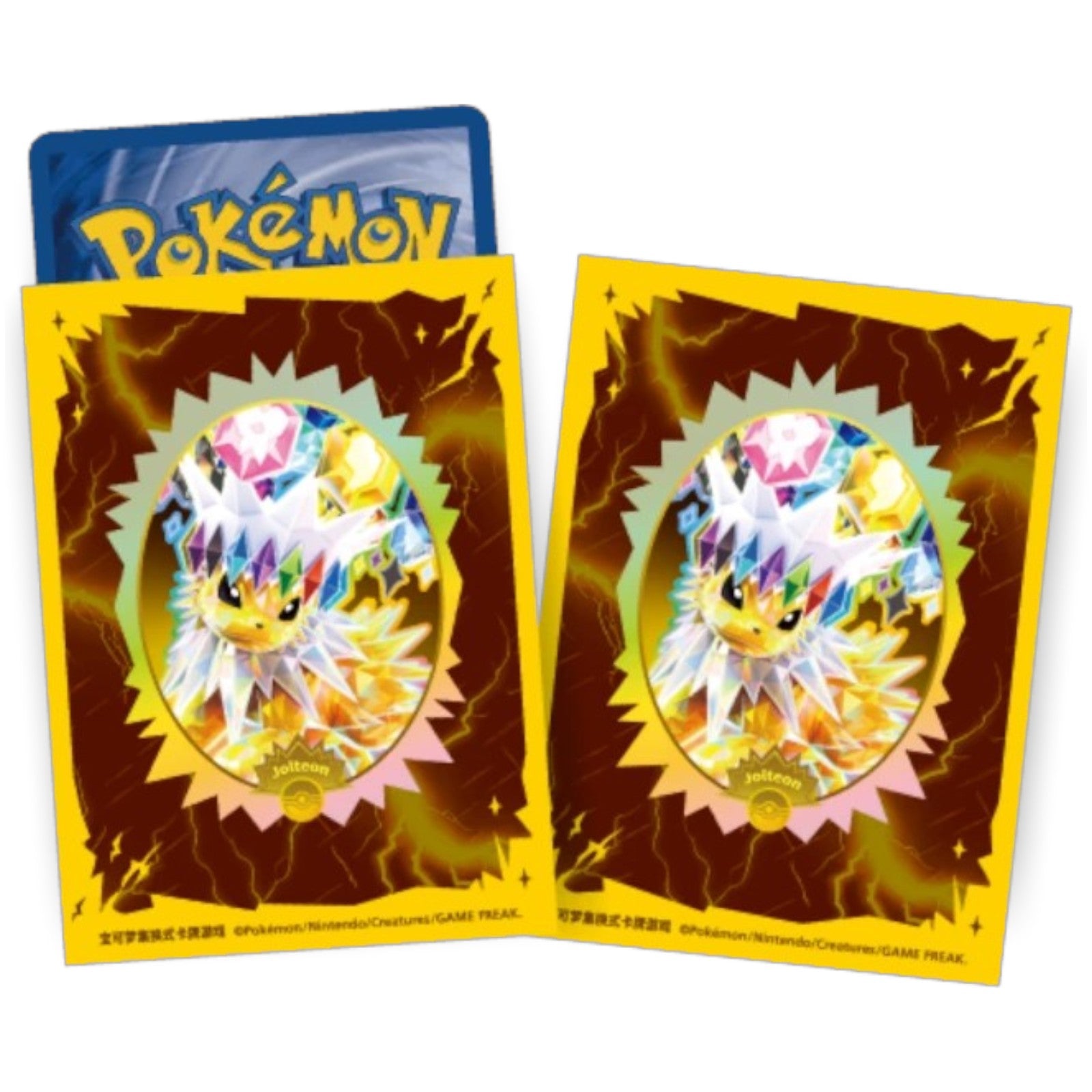 Pokemon TCG Chinese Terastal Gathering Binder Set Jolteon