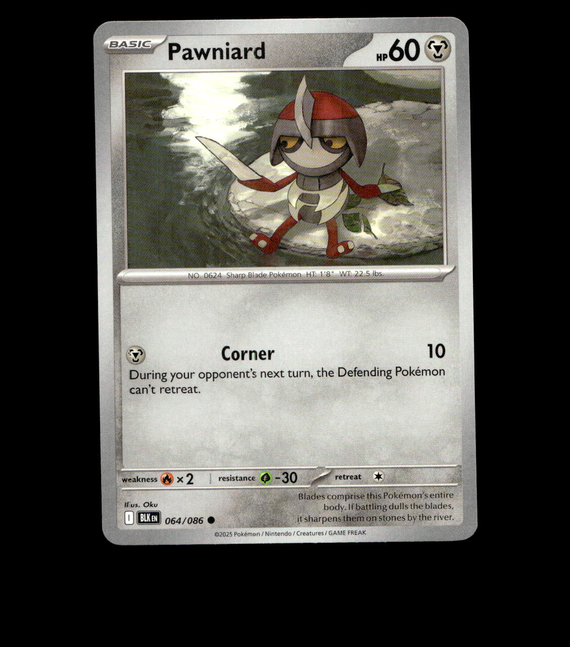 Pawniard – 064/086 – Black Bolt – Non Holo – Near Mint - Pokemon Card TCG