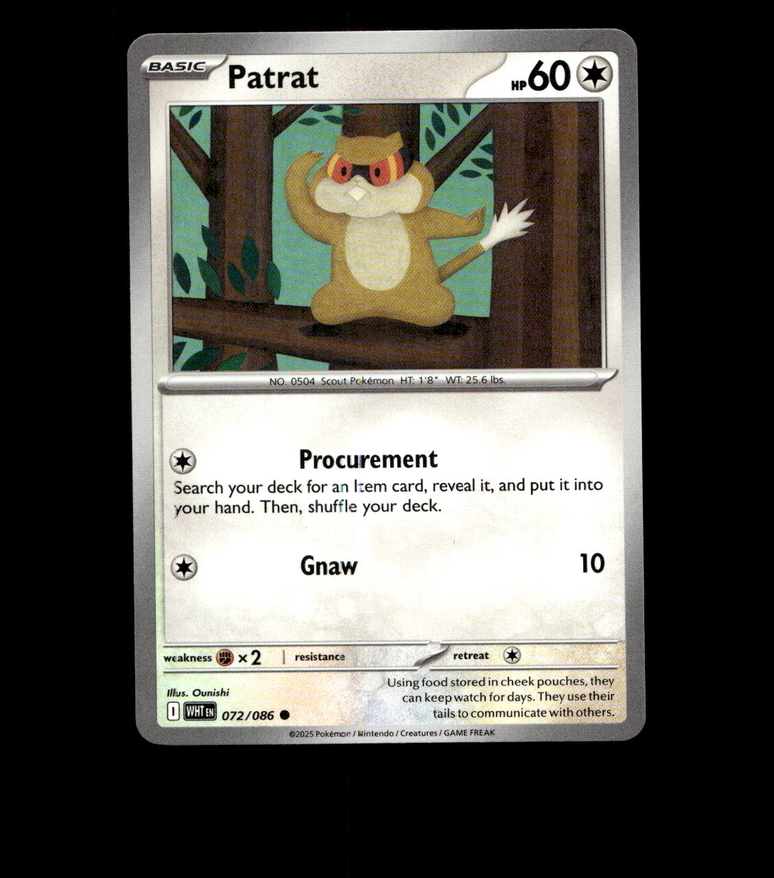 Patrat - 072/086 - White Flare - Normal - Near Mint Non Holo Pokemon Card - TCG