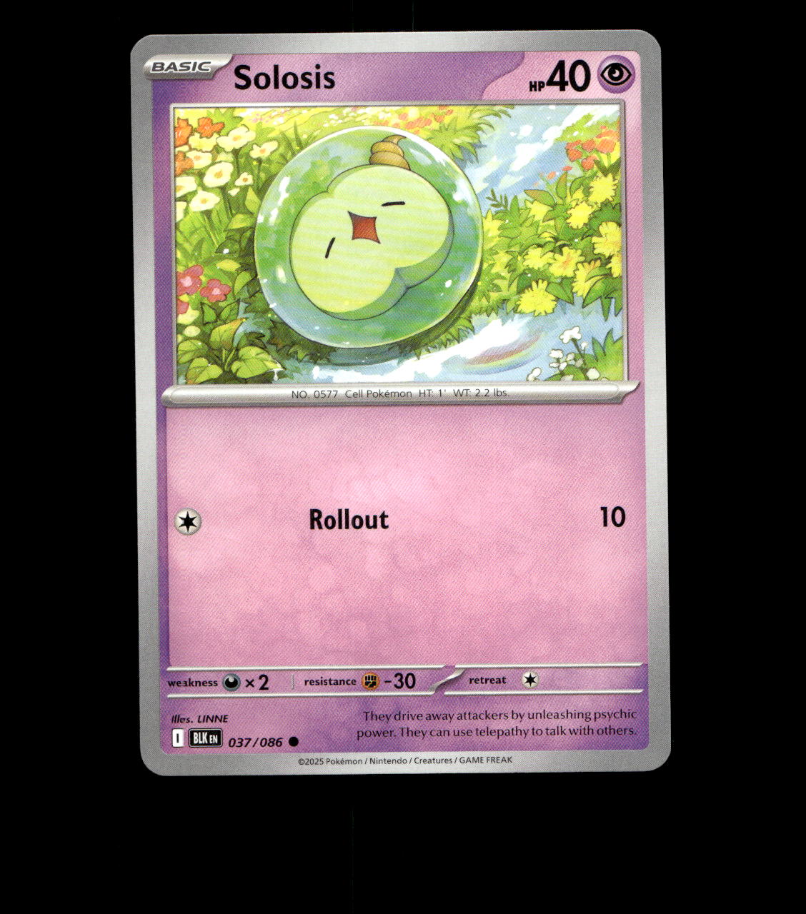 Solosis - 037/086 - Black Bolt - Near Mint - Non Holo - Pokemon Card - TCG