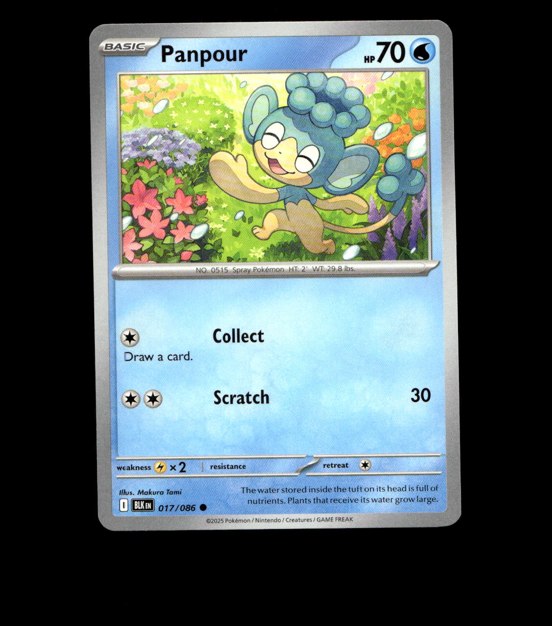 Panpour - 017/086 - Black Bolt - Near Mint Non Holo