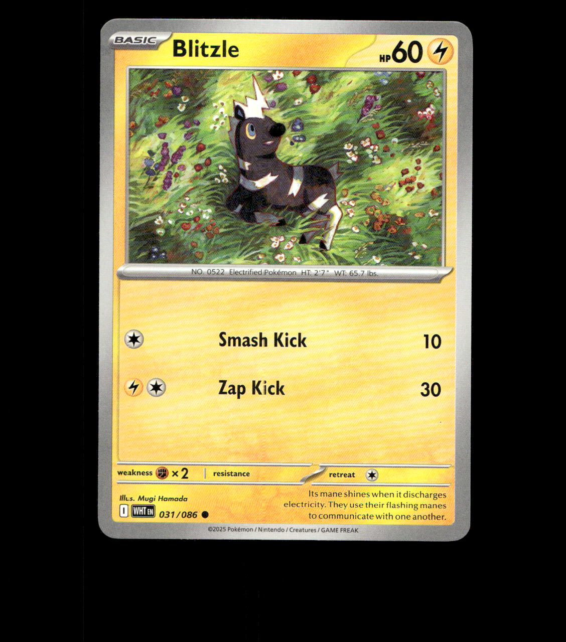 Blitzle – 031/086 – White Flare – Non Holo – Near Mint