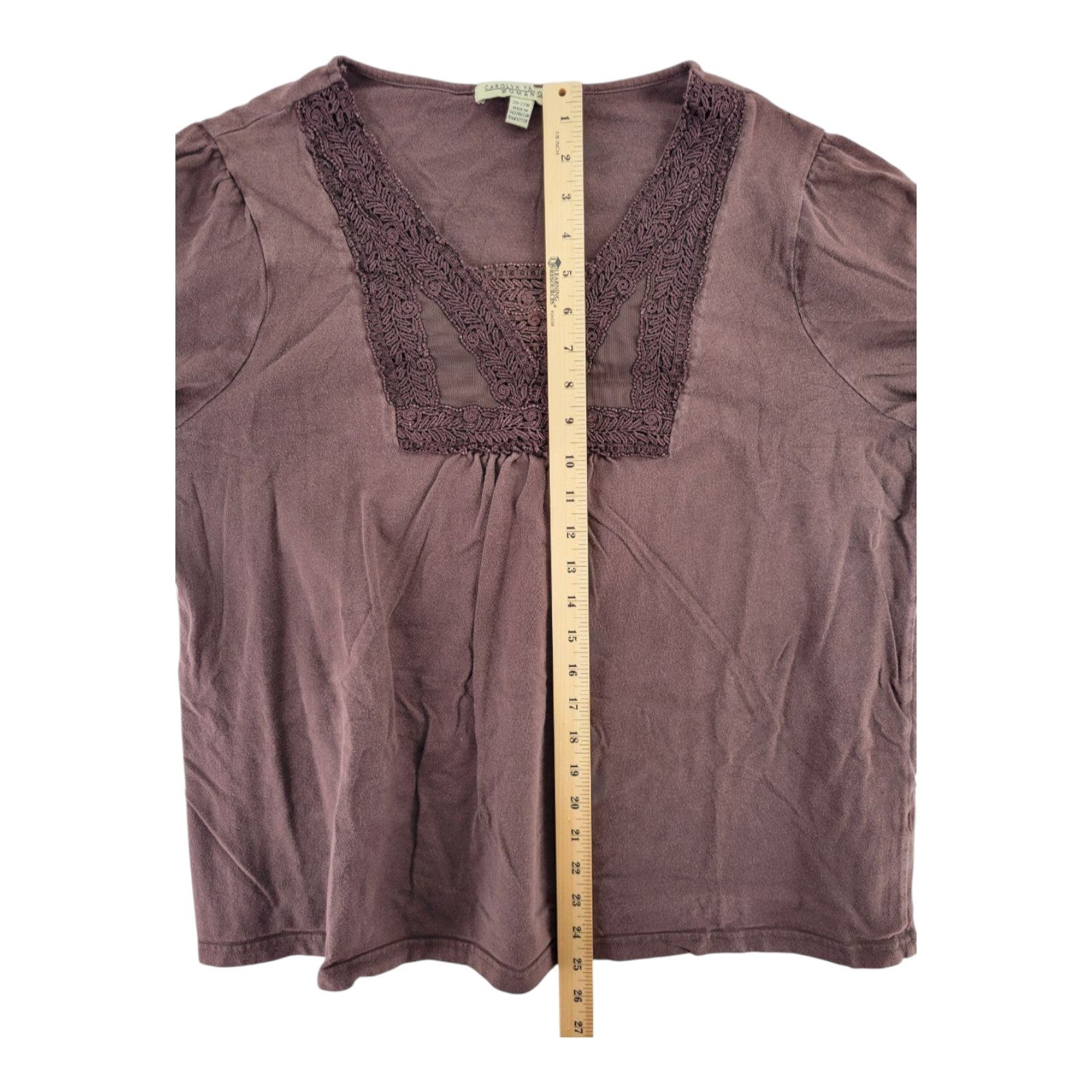 Carolyn Taylor Brown Embroidered Yoke Top Women's Plus Size 20-22W