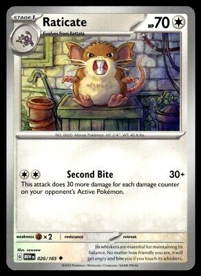 Pokemon 2023 Scarlet & Violet 151 Raticate Uncommon #20 Near Mint Card