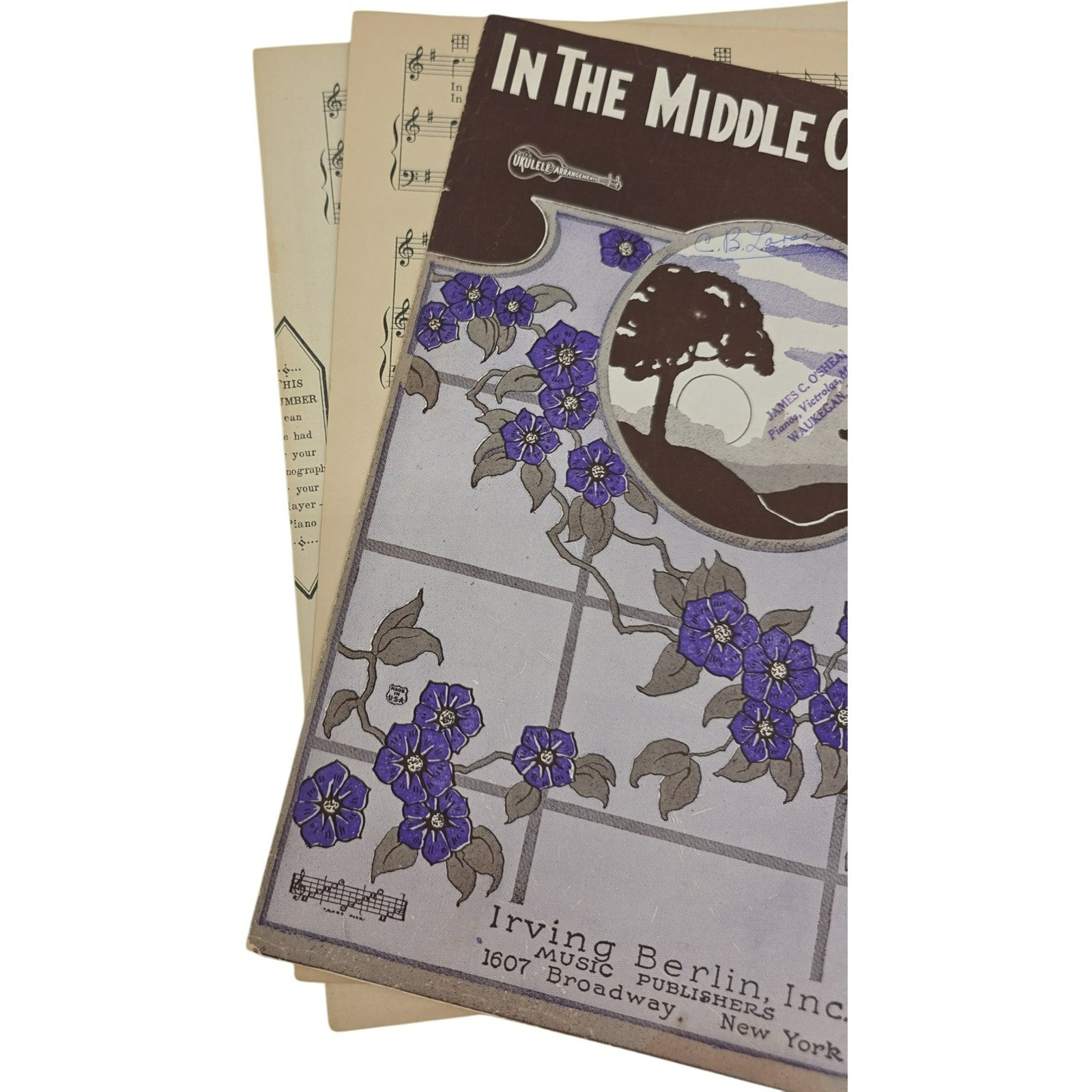 Vintage Sheet Music 1925 in The Middle Of The Night by Billy Rose