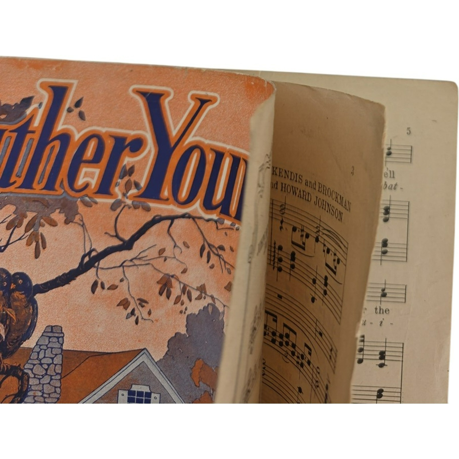 Vintage 1920 Feather Your Nest Kendis Brockman and Howard Johnson Sheet Music