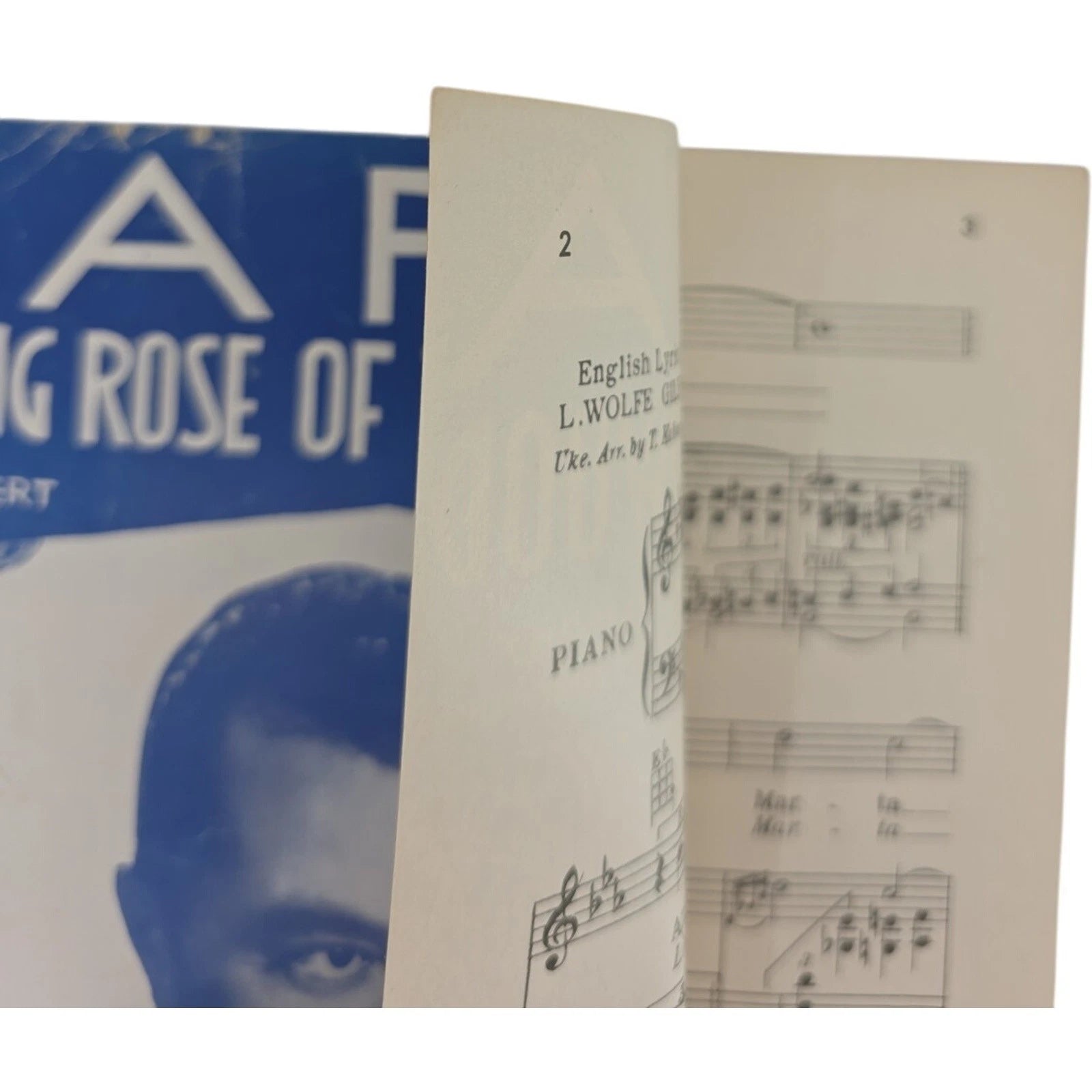 Marta Rambling Rose of the Wildwood Sheet Music 1931 & 1932 Tony Martin Vintage