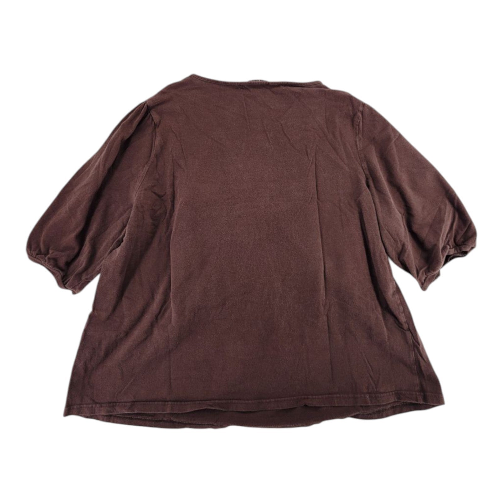 Carolyn Taylor Brown Embroidered Yoke Top Women's Plus Size 20-22W