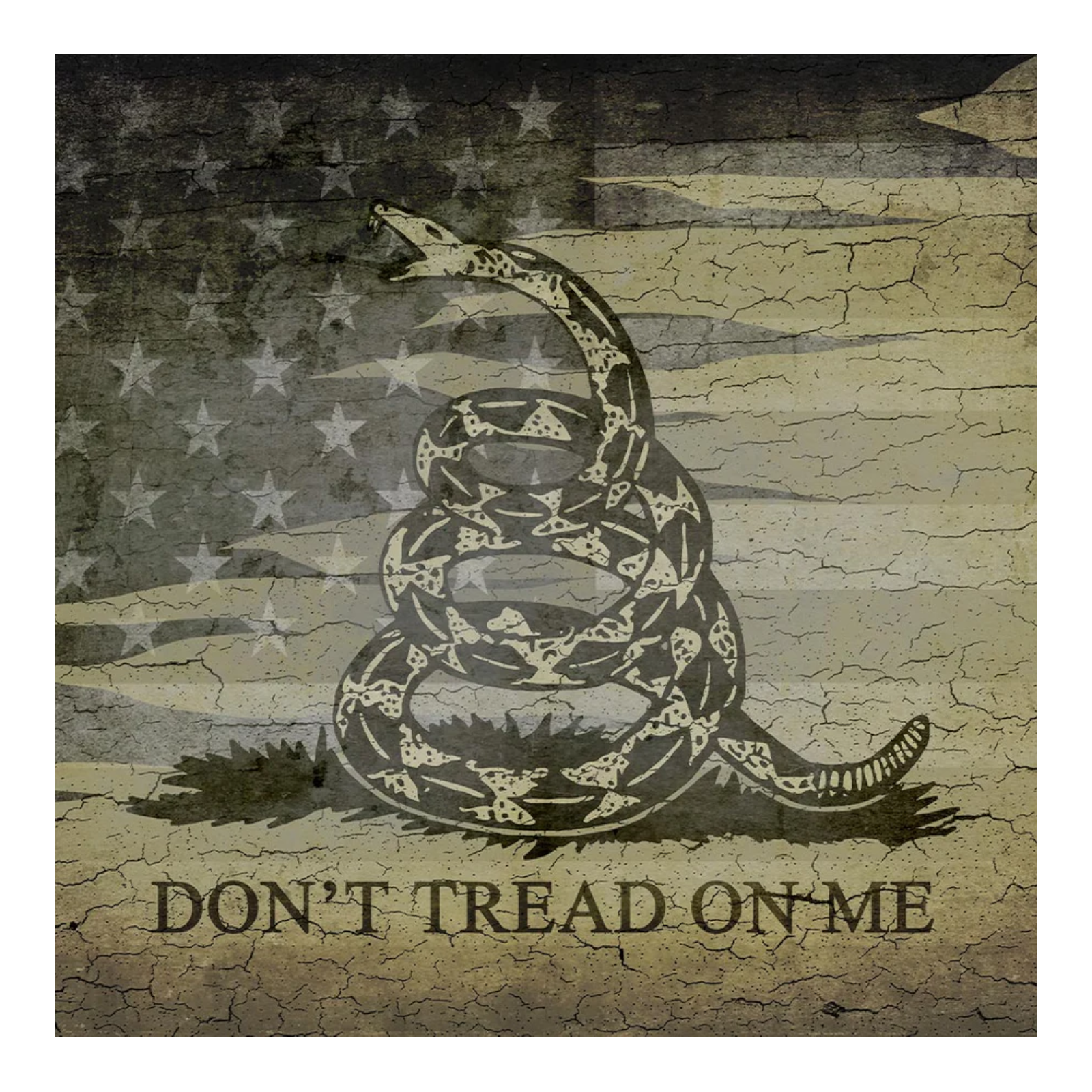 ParSkins Driver Skin - Patriotic Don't Tread on Me