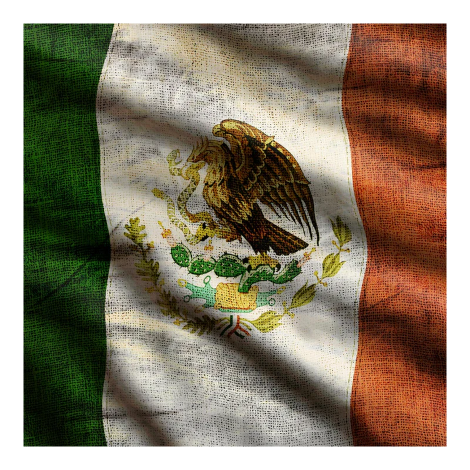 ParSkins Driver Skin - International Flags Mexico