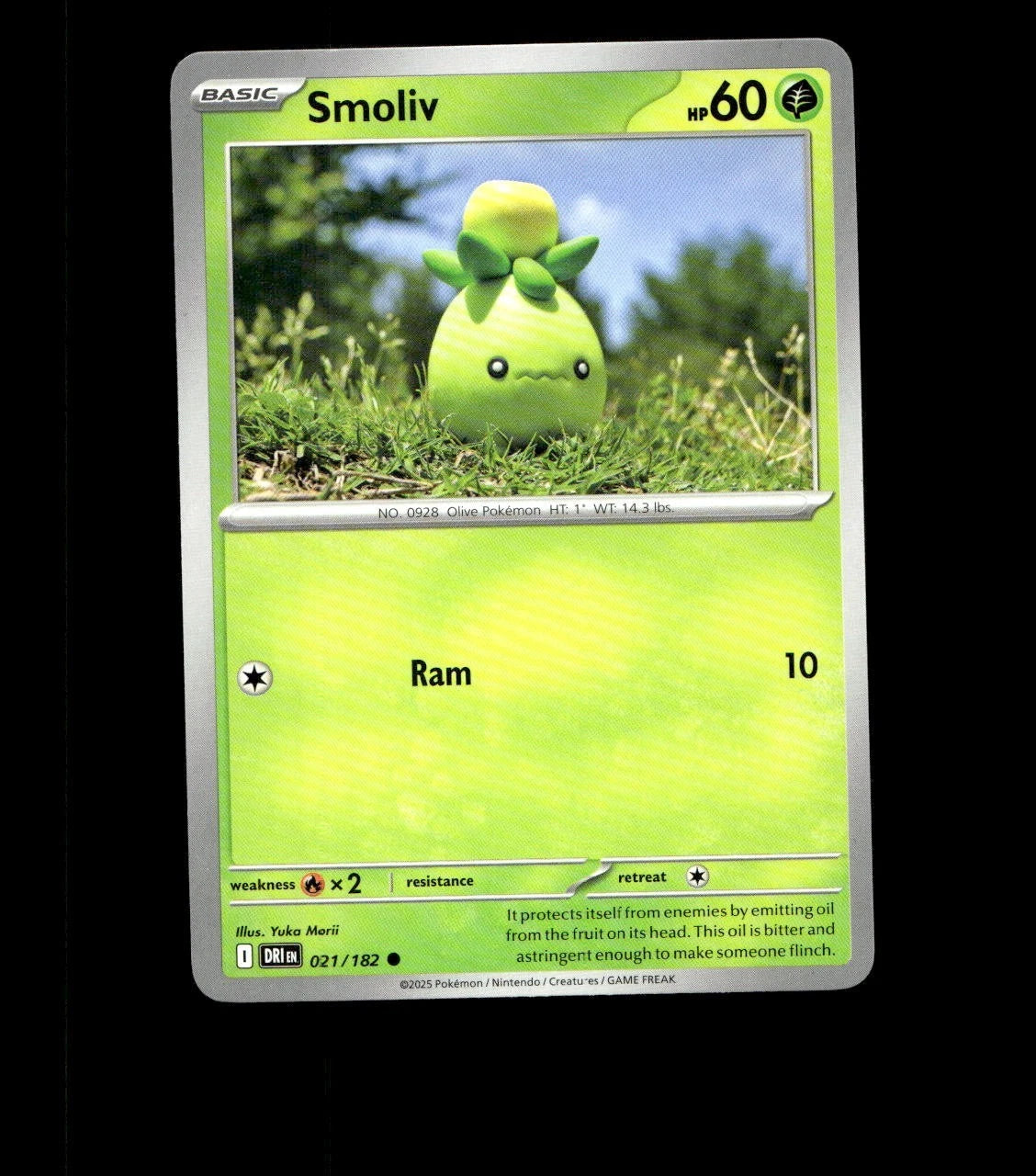 Smoliv – 021/182 – Destined Rivals – Non Holo Near Mint Pokemon Card TCG