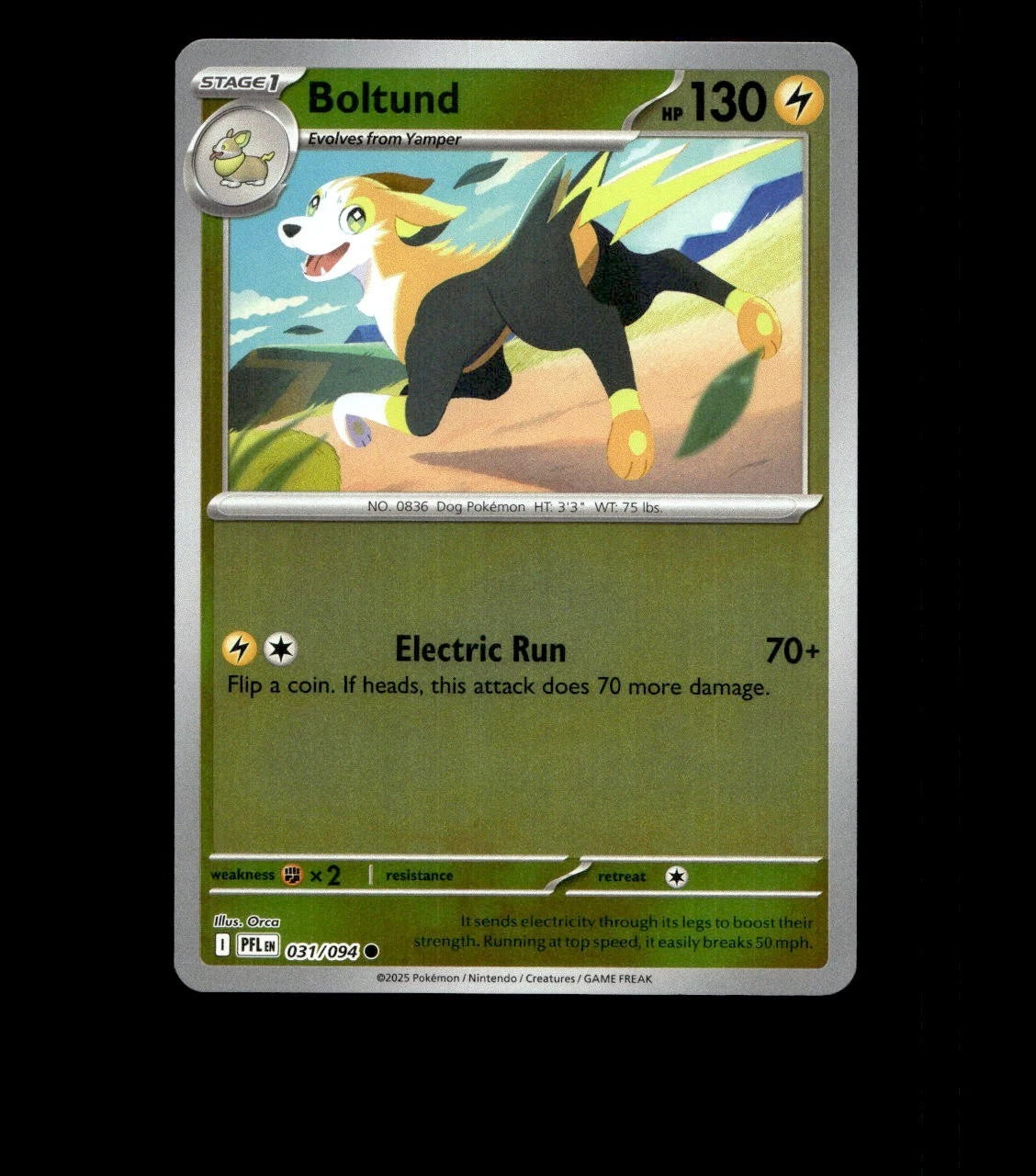 Boltund – 031/094 – Phantasmal Flames – Reverse Holo Near Mint