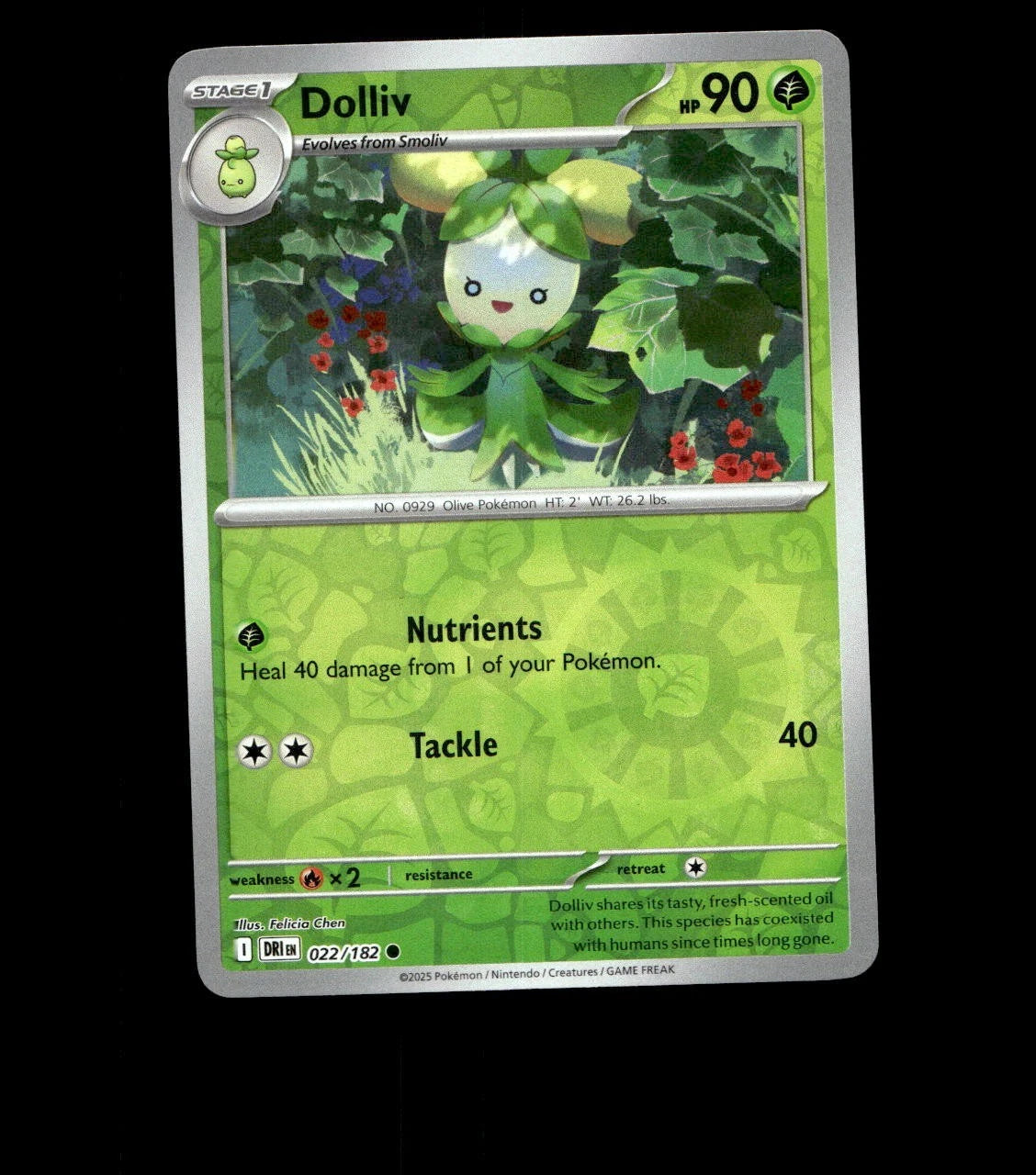 Dolliv – 022/182 – Destined Rivals – Reverse Holo Near Mint