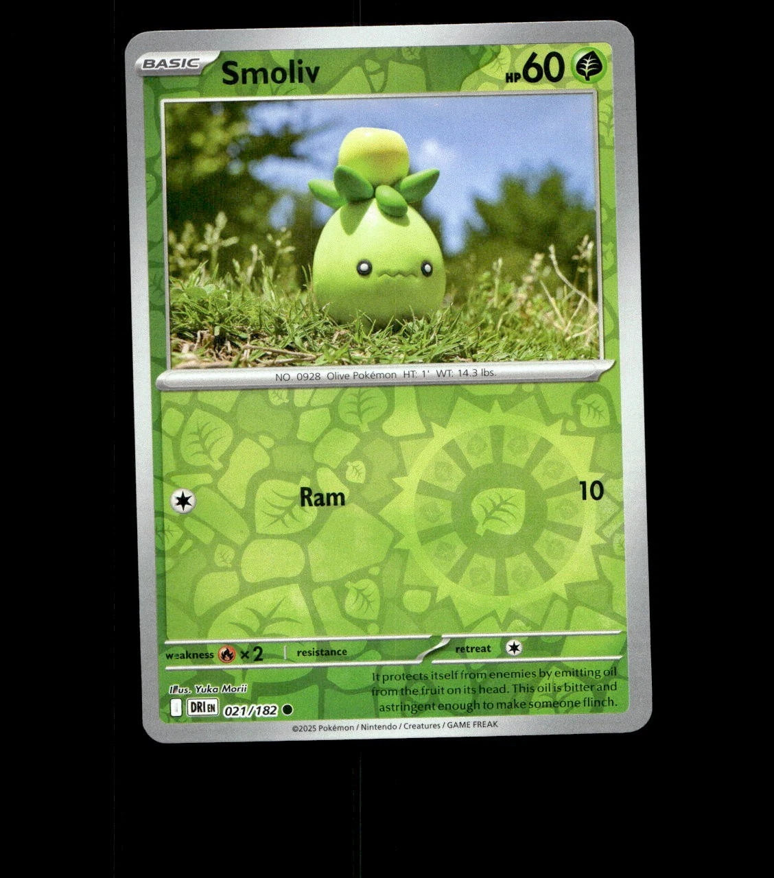 Smoliv – 021/182 – Destined Rivals – Reverse Holo Near Mint Pokemon Card TCG