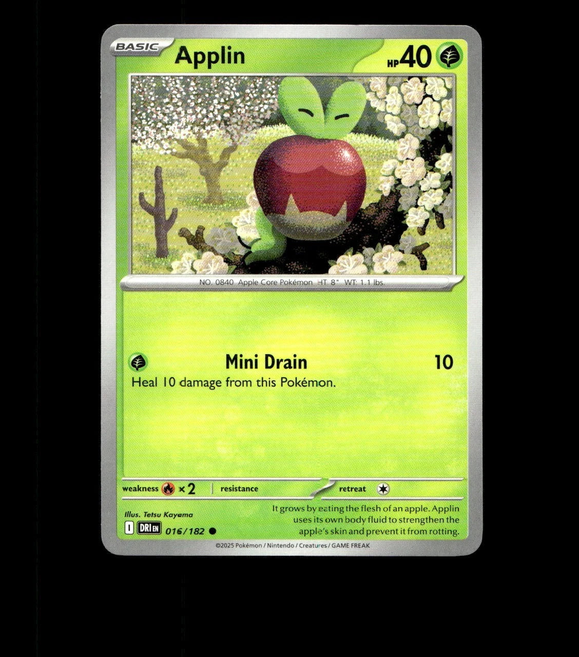 Applin – 016/182 – Destined Rivals – Non Holo Near Mint Pokemon Card TCG