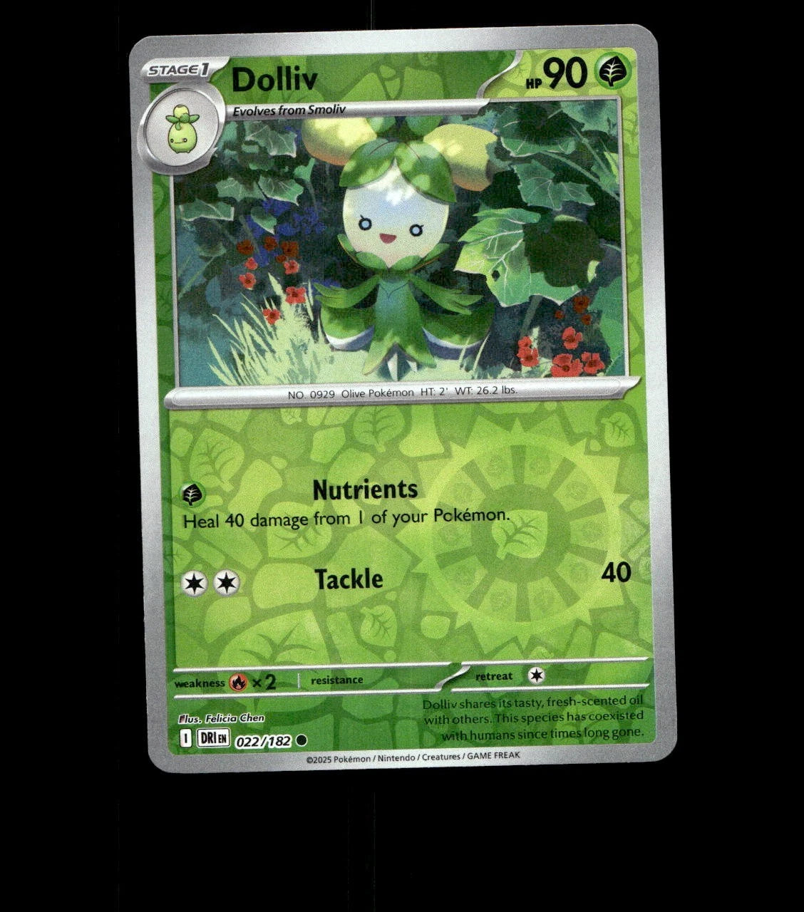 Dolliv – 022/182 – Destined Rivals – Reverse Holo Near Mint Pokemon Card TCG