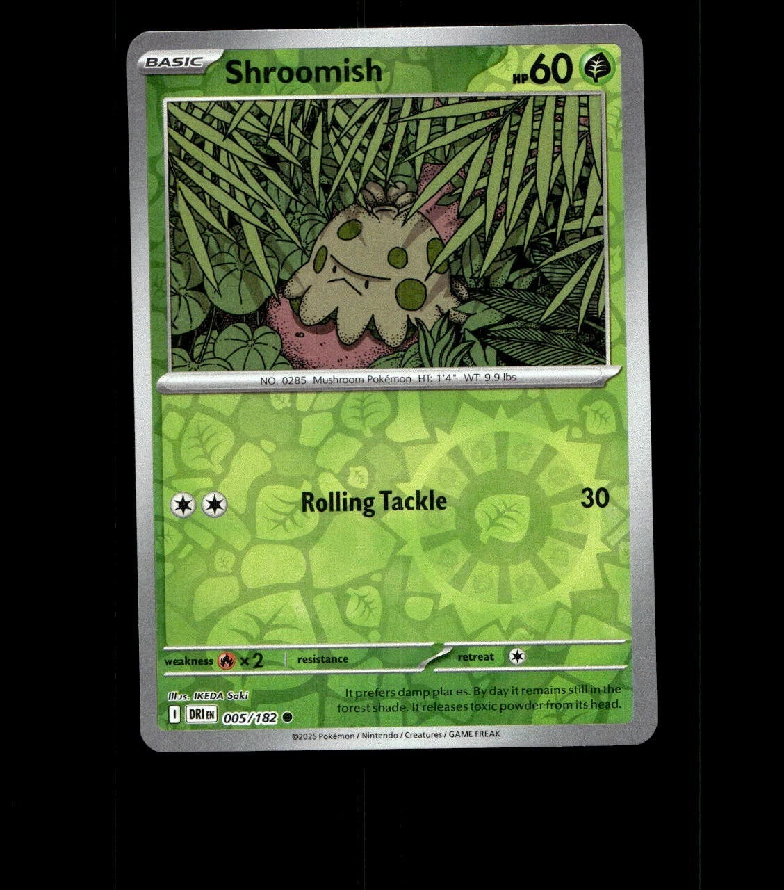 Shroomish – 005/182 – Destined Rivals – Reverse Holo Near Mint Pokemon Card