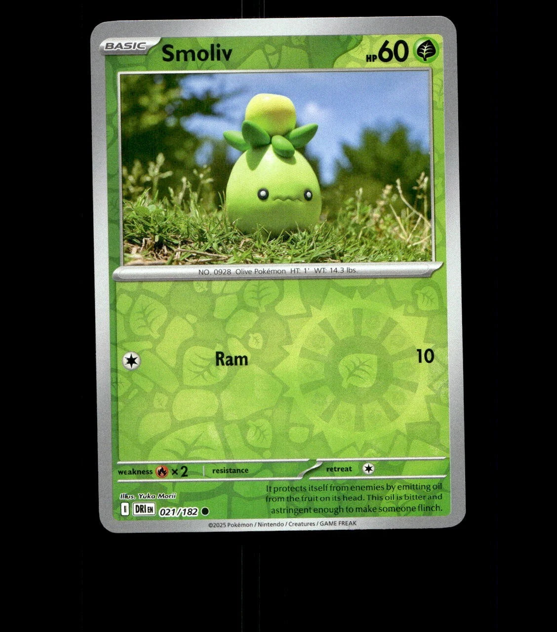 Smoliv – 021/182 – Destined Rivals – Reverse Holo Near Mint Pokemon Card TCG
